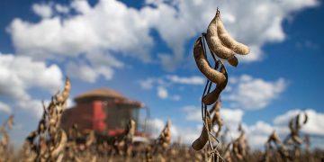 Aprosoja Brasil comemora a sanção do novo marco do Seguro Rural